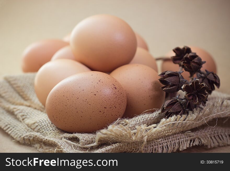 Eggs isolated on Brown background