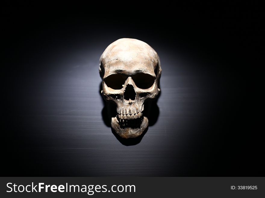 Real Skull in black table background