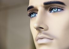 Male Mannequin Royalty Free Stock Images Male Mannequin Royalty Free Stock Images