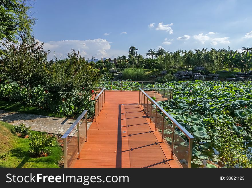Wooden scenic path by the lotus pond in garden. Wooden scenic path by the lotus pond in garden