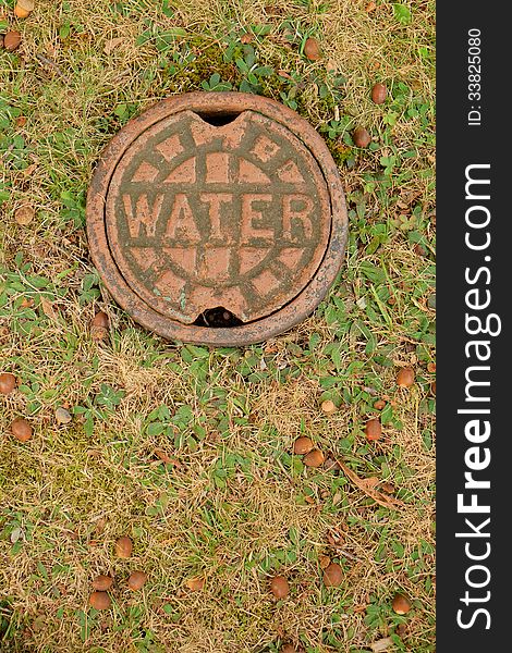 Type of cap used for wells, water and sewage lines. Shown in grass naturally decorated with fallen acorns. Type of cap used for wells, water and sewage lines. Shown in grass naturally decorated with fallen acorns.