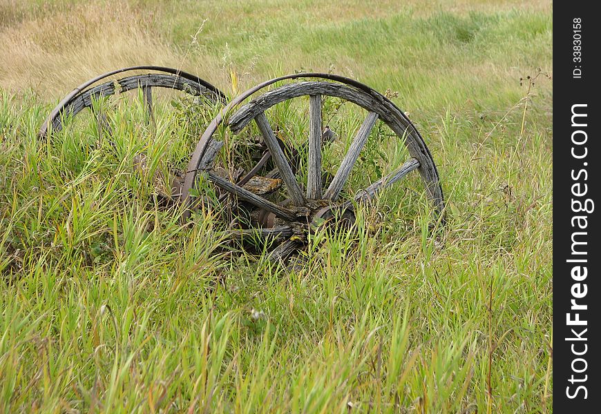 Early Wagon Wheels - September 2013 near Flowing Springs Gold Greens Saskatchewan. Early Wagon Wheels - September 2013 near Flowing Springs Gold Greens Saskatchewan