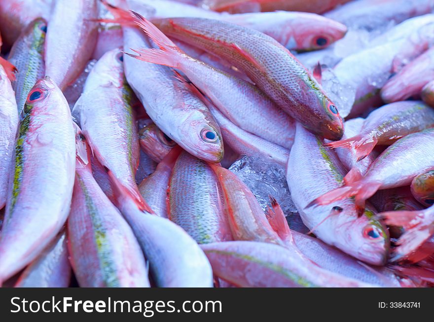 Fresh Tropical Fish In The Market