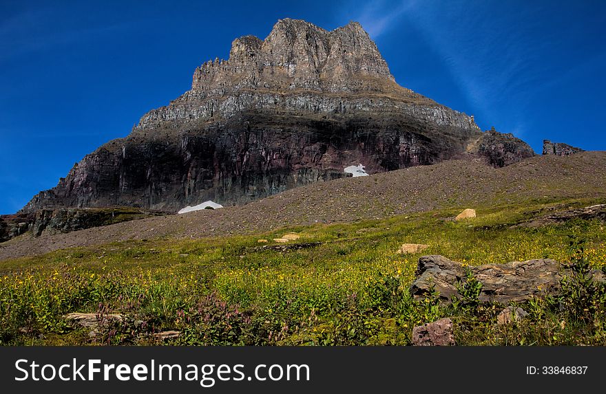 This image of Mt Clements with the yellow wildflowers in the foreground was taken in Glacier National Park, Montana.