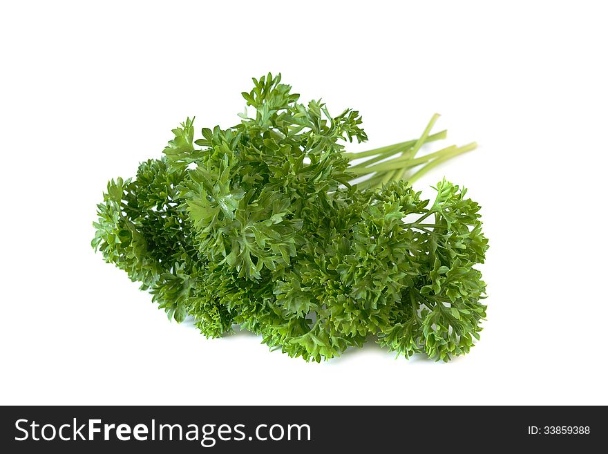 Bunch of fresh green curly parsley. Isolated on white