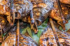 Roasted Fish Skewers - Laos Style Stock Photography
