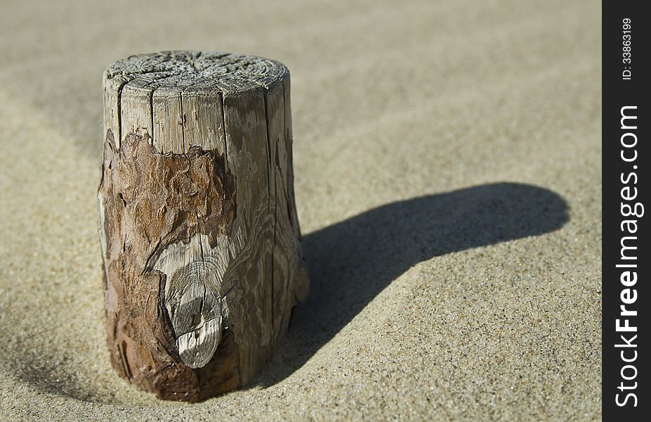 Stump on the sand. A pictue taken in the dunes. Stump on the sand. A pictue taken in the dunes.