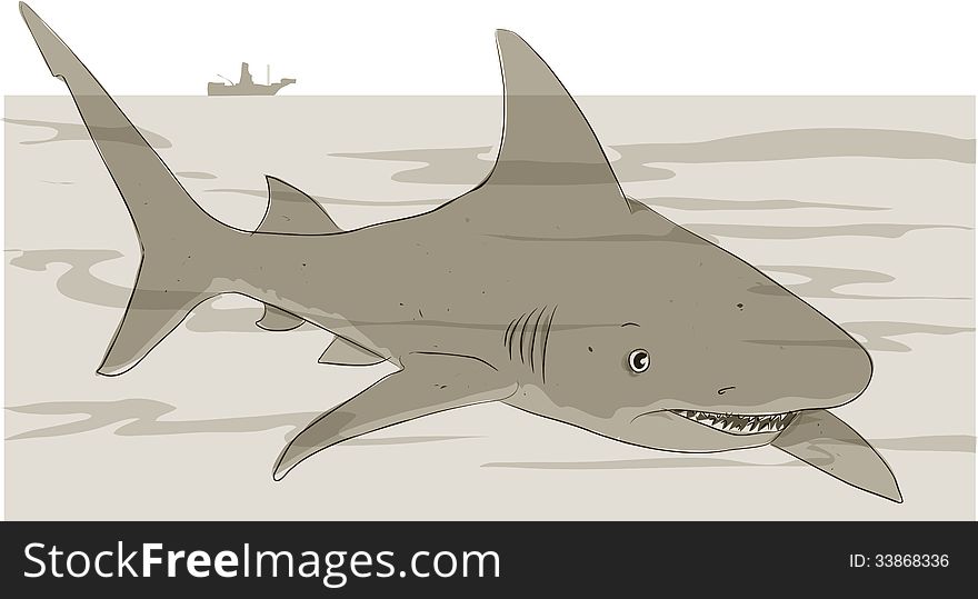 Large shark swimming in the sea