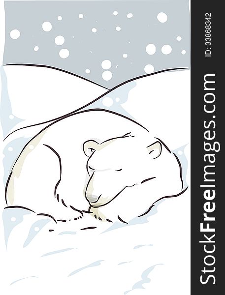 Polar bear sleeping in snow. Polar bear sleeping in snow