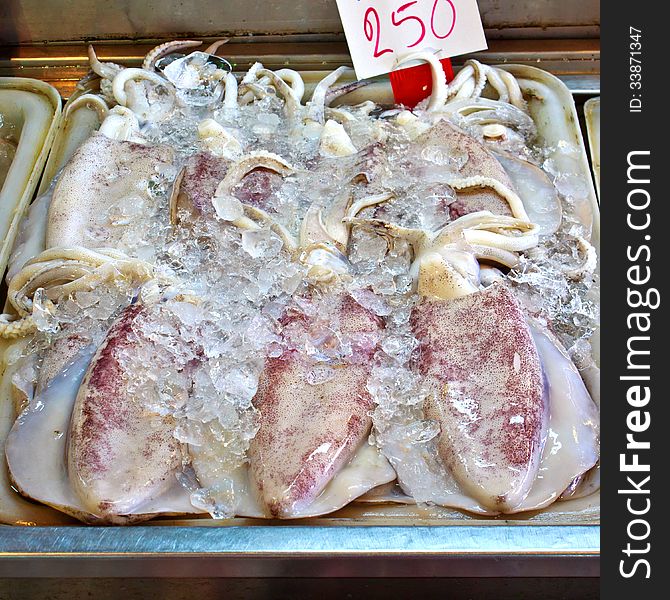 Fresh squids in the market. Fresh squids in the market