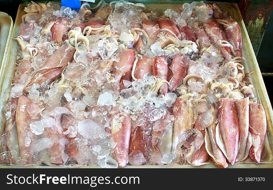 Fresh squids in the market. Fresh squids in the market