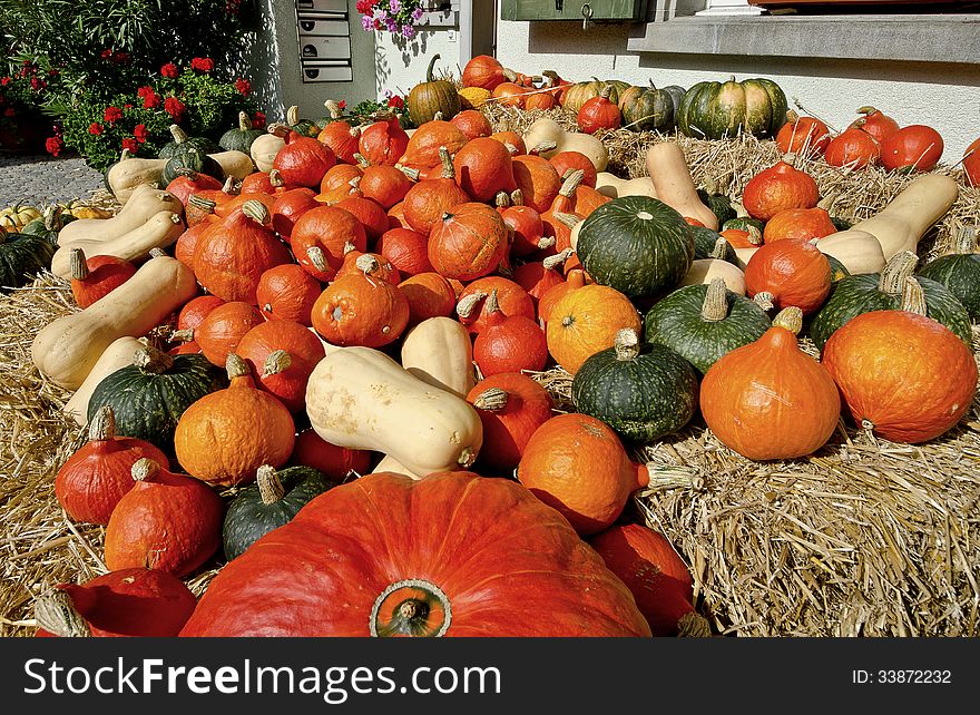 Assorted shaped and colored pumpkins ready for Autumn. Assorted shaped and colored pumpkins ready for Autumn