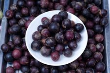 Flacourtia Indica&x28;Burm.f.&x29;merr. Royalty Free Stock Photos Flacourtia Indica&x28;Burm.f.&x29;merr. Royalty Free Stock Photos