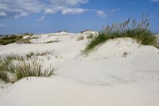 Dunes Of Hatteras Royalty Free Stock Photography Dunes Of Hatteras Royalty Free Stock Photography
