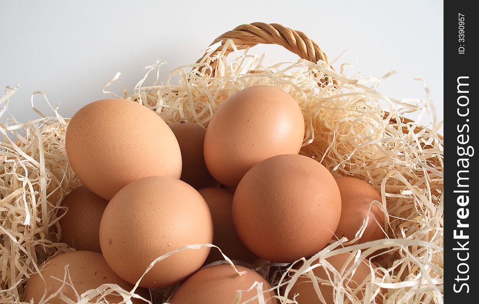 Clutch of fresh laid eggs in a basket filled with shavings. Clutch of fresh laid eggs in a basket filled with shavings