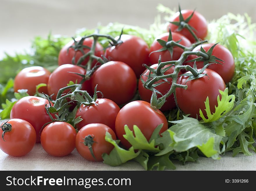 Cheery tomatoes on green salad leafes. Cheery tomatoes on green salad leafes