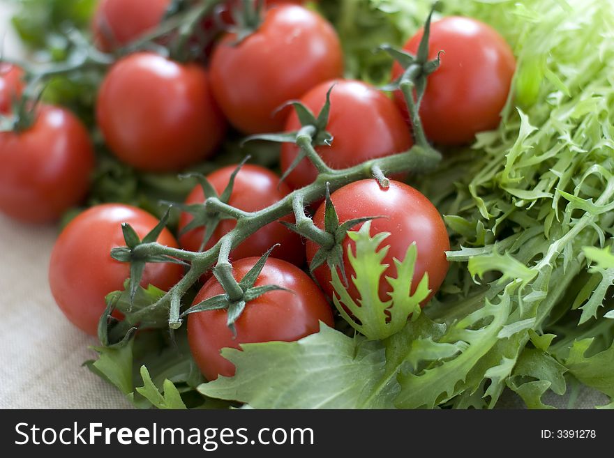 Cheery tomatoes on green salad leafes. Cheery tomatoes on green salad leafes
