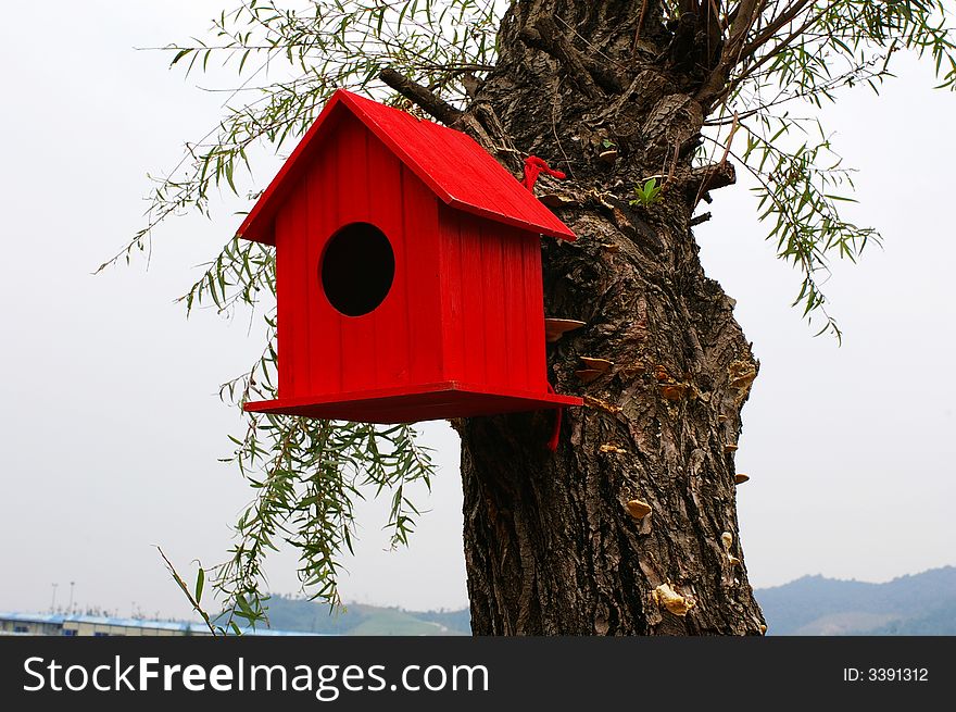 A red bird nest sitting on a tree trunk, with willow leaves green. A red bird nest sitting on a tree trunk, with willow leaves green