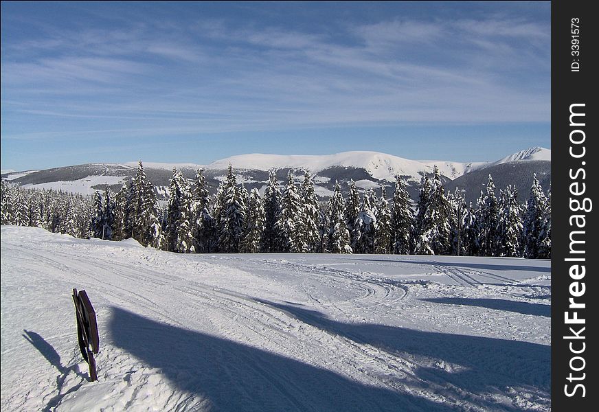 White winter in Krkonose mountains