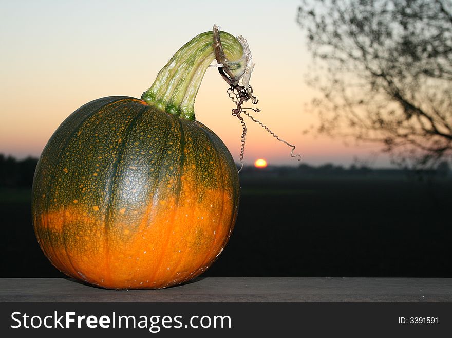 Pumpkin at sunset Knokke Belgium. Pumpkin at sunset Knokke Belgium