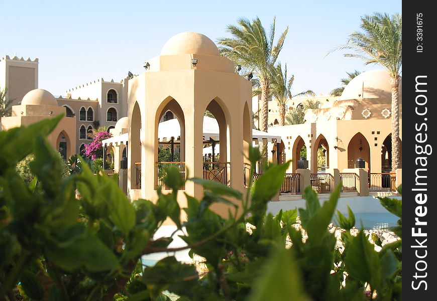 Egypt, architecture, summer, greens, leaves, an arch, palm