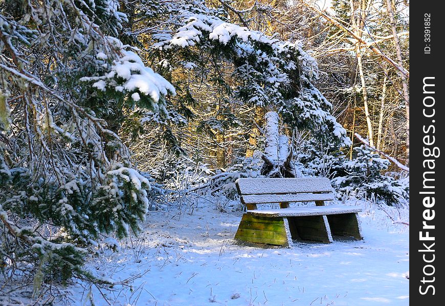 Bench covered with fresh snow on a hiking trail in Canada.