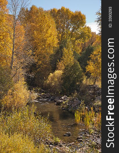 Fall colors in the trees above a small body of water