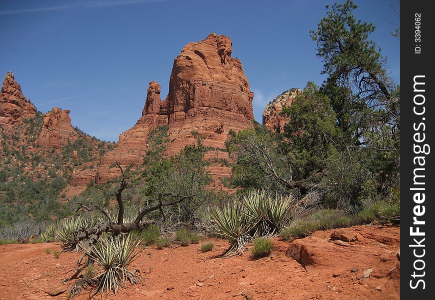 The picture of Cibola Mittens taken from Cibola Trail in Sedona, AZ