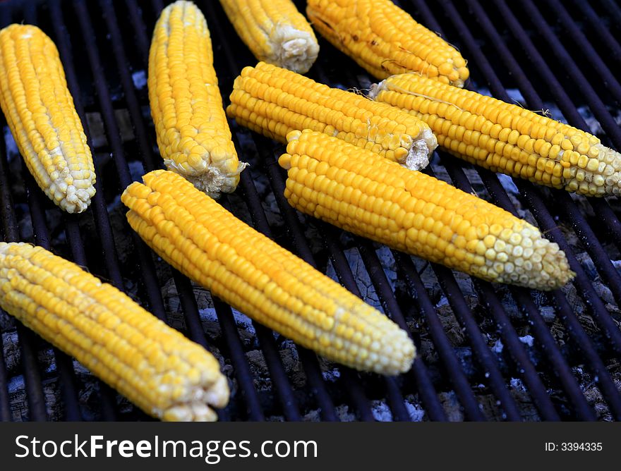 A bunch of delicious grilled corn just placed on the BBQ. A bunch of delicious grilled corn just placed on the BBQ.