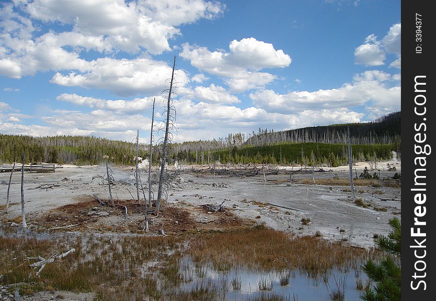 Norris Geyser Basin is one of the most active geothermal area in Yellowstone National Park