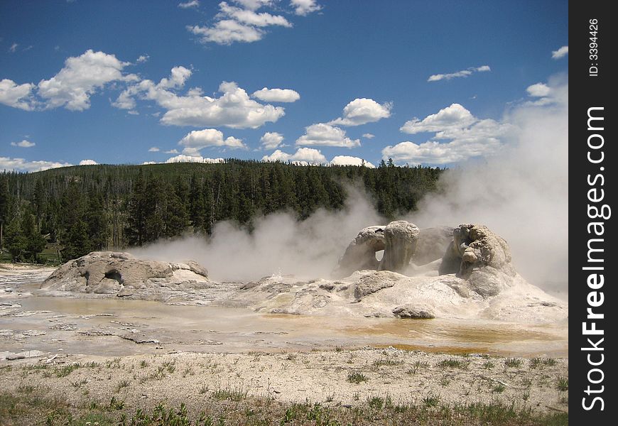 Grotto Geyser can be found in Yellowstone's Upper Geyser Basin.