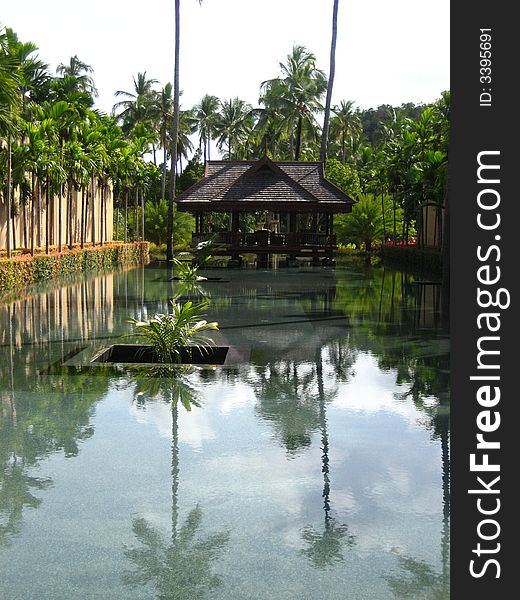 Tropical lanscape, full of coconut tree, water reflection