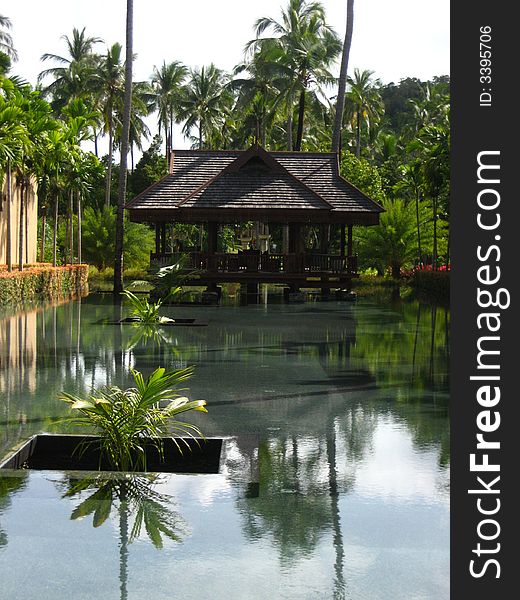 Tropical lanscape, full of coconut tree, water reflection