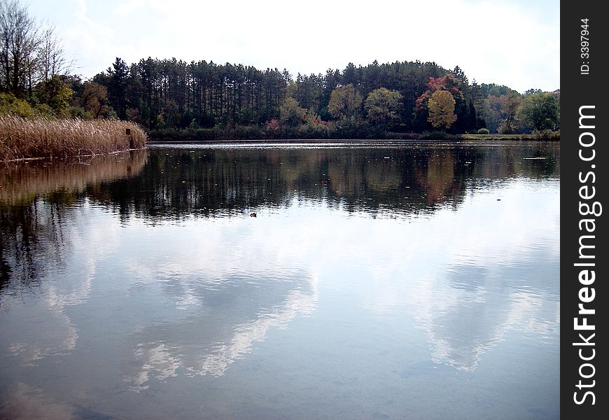 A simple landscape showing a lake with rushes to the left and trees on the far shore. The clouds in the sky are reflected in the lake. A simple landscape showing a lake with rushes to the left and trees on the far shore. The clouds in the sky are reflected in the lake.