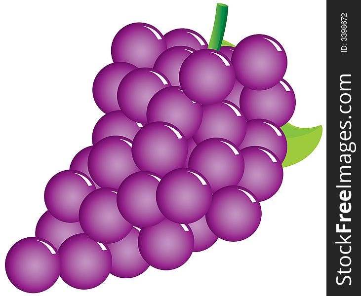 Illustration of Sweet Grapes in Graphic Style