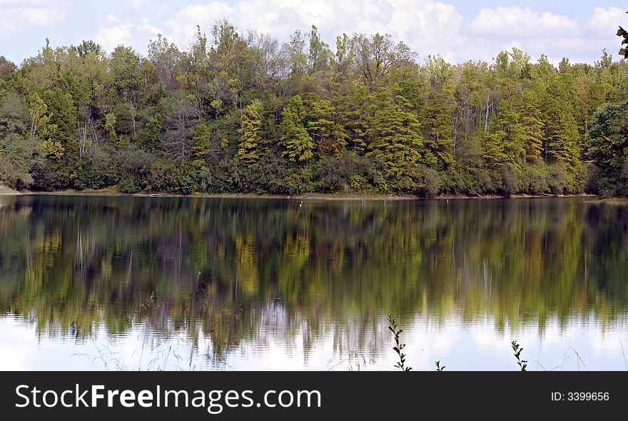 Trees reflecting in the calm water of a lake. Trees reflecting in the calm water of a lake