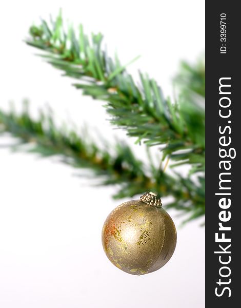 Christmas ball hanging on fir tree isolated