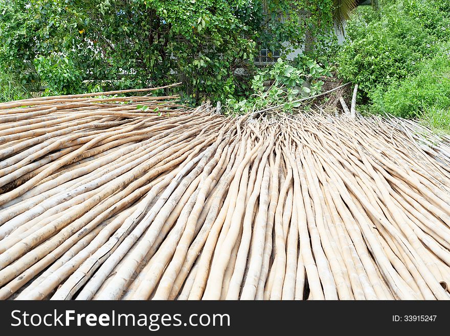 Bamboo on ground Spare Parts for Fisherman