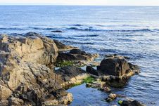 Rocky Sea Coast With Seaweed Royalty Free Stock Photos Rocky Sea Coast With Seaweed Royalty Free Stock Photos