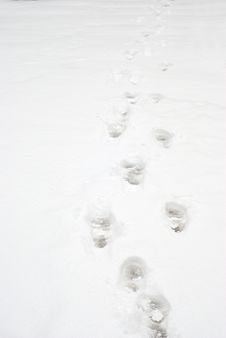 Footprints Stock Photography Footprints Stock Photography
