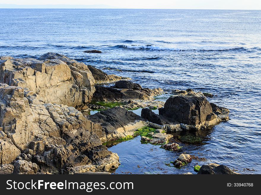 Rocky coast with seaweed near the blue sea. Rocky coast with seaweed near the blue sea