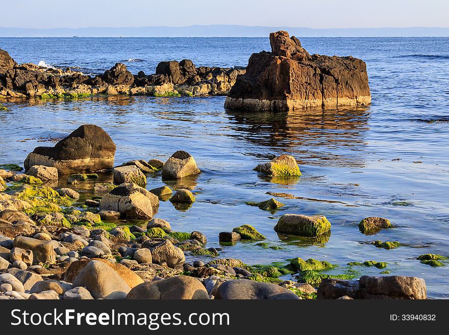 Rocky sea coast horizon with seaweed