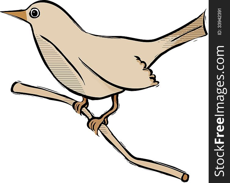 Brown bird