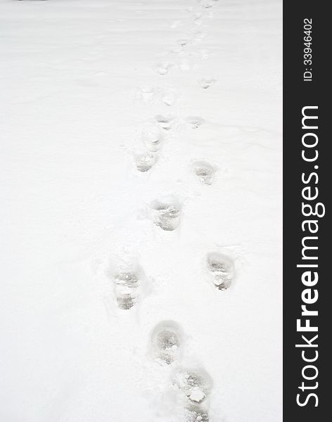 Shoe footprints in the snow