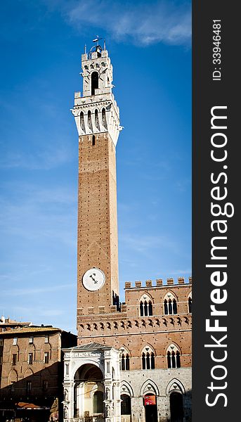 The City Hall's tall Tower in Italy (Sienna). The City Hall's tall Tower in Italy (Sienna)