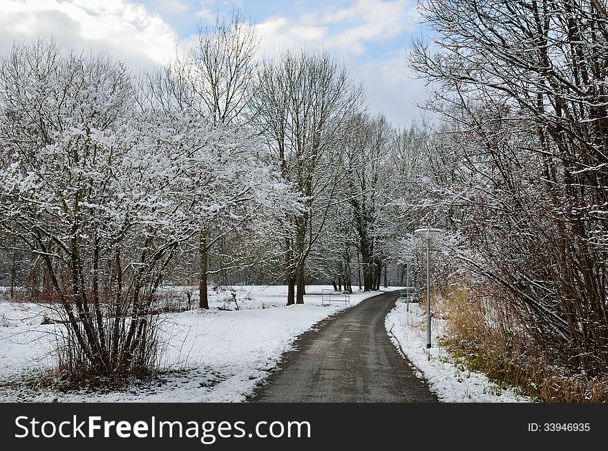 Winter park covered with light wet snow