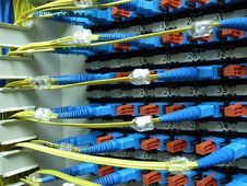 Optical Fiber Patch Panel Stock Images Optical Fiber Patch Panel Stock Images