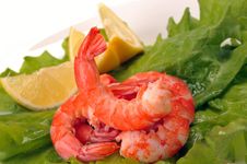 Salad Of Shrimp, Mixed Greens Stock Photography Salad Of Shrimp, Mixed Greens Stock Photography