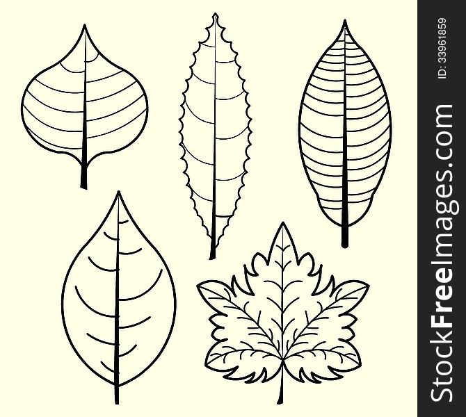 Image of leaves vector isolated on background