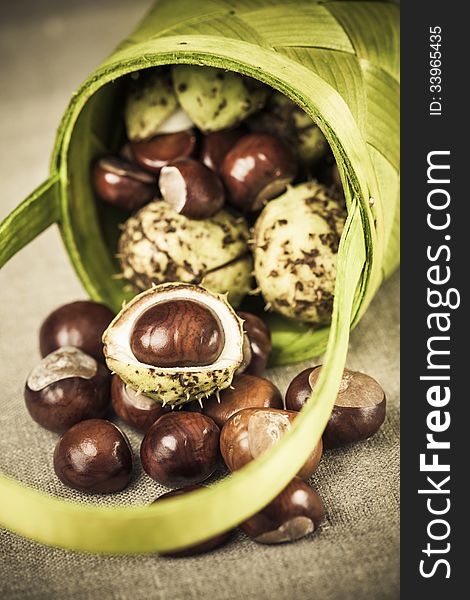 Chestnuts in green basket